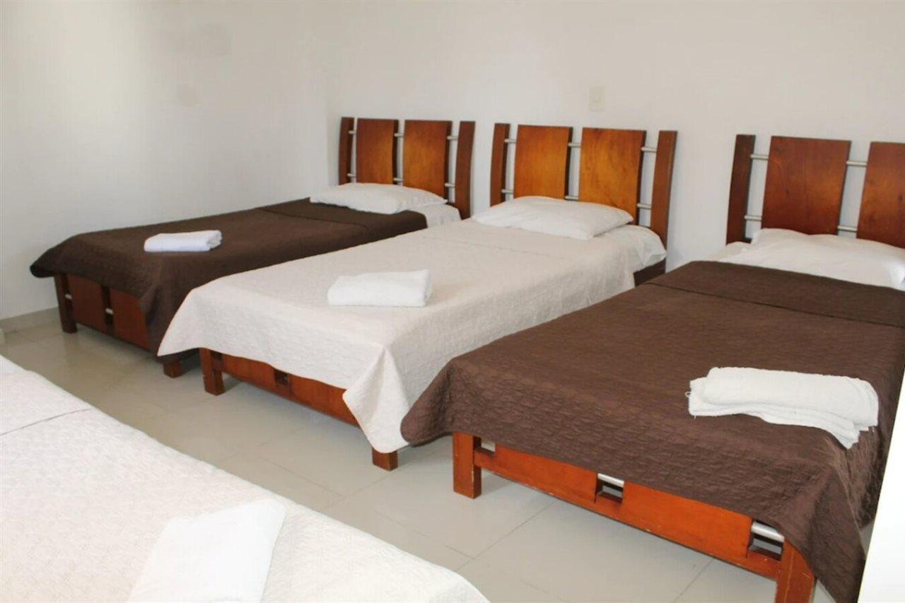 Palma Real Cartagena