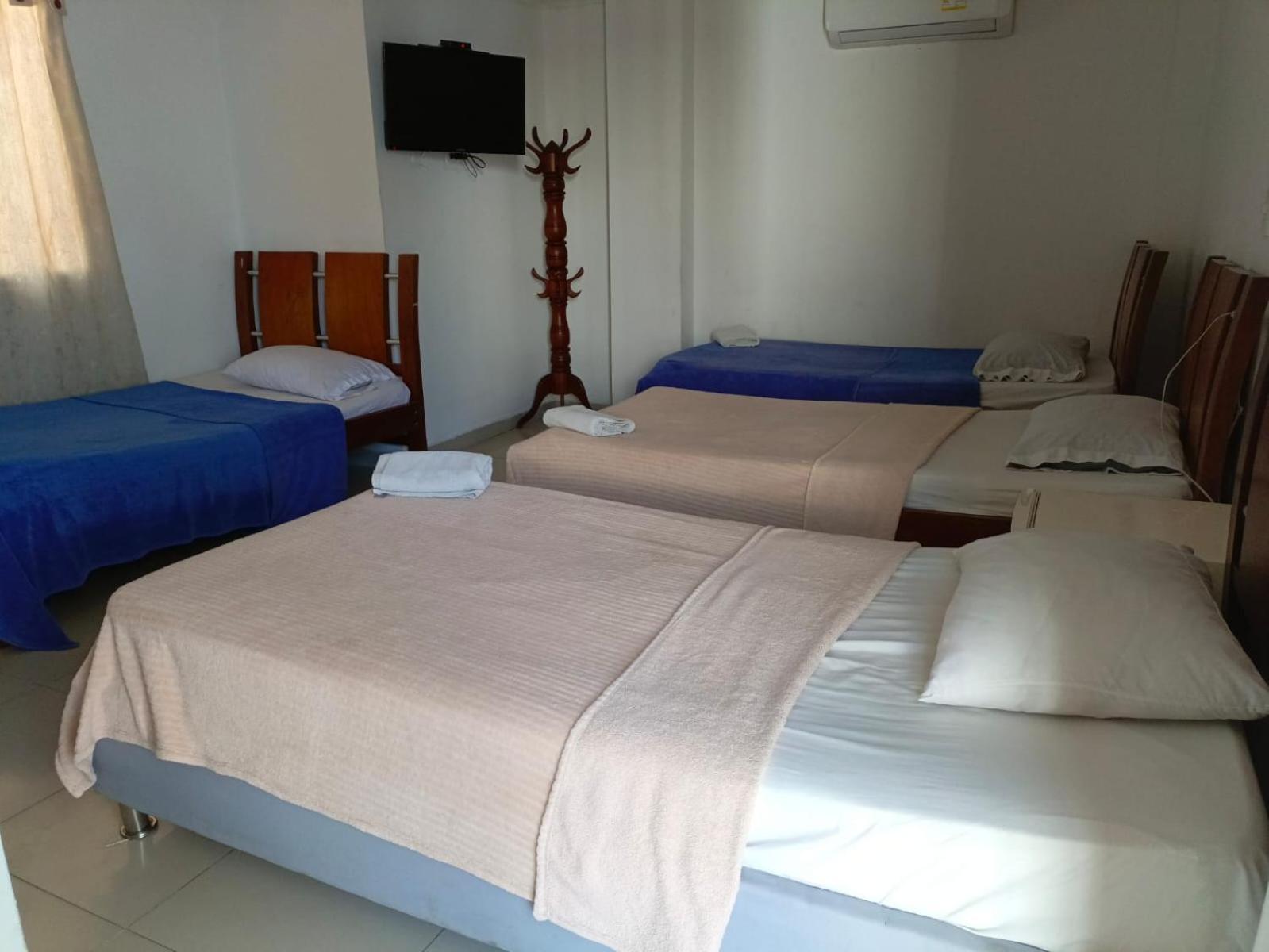 Palma Real Cartagena