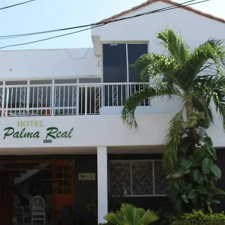 Palma Real Cartagena